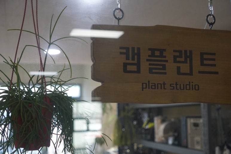 캠플랜트 이미지