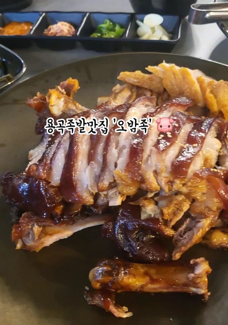 오밤족 이미지