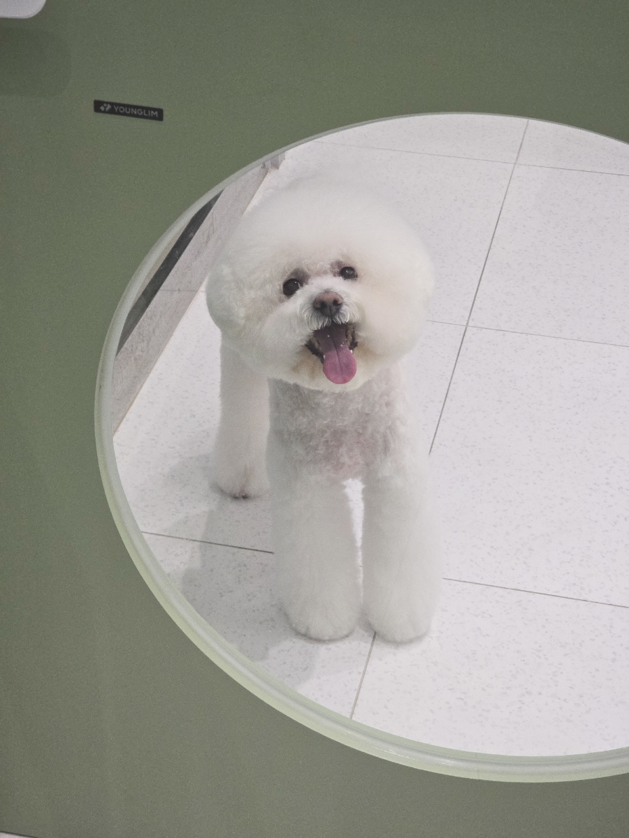 몽이미용실 이미지
