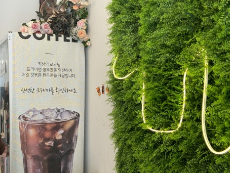 케렌시아 이미지