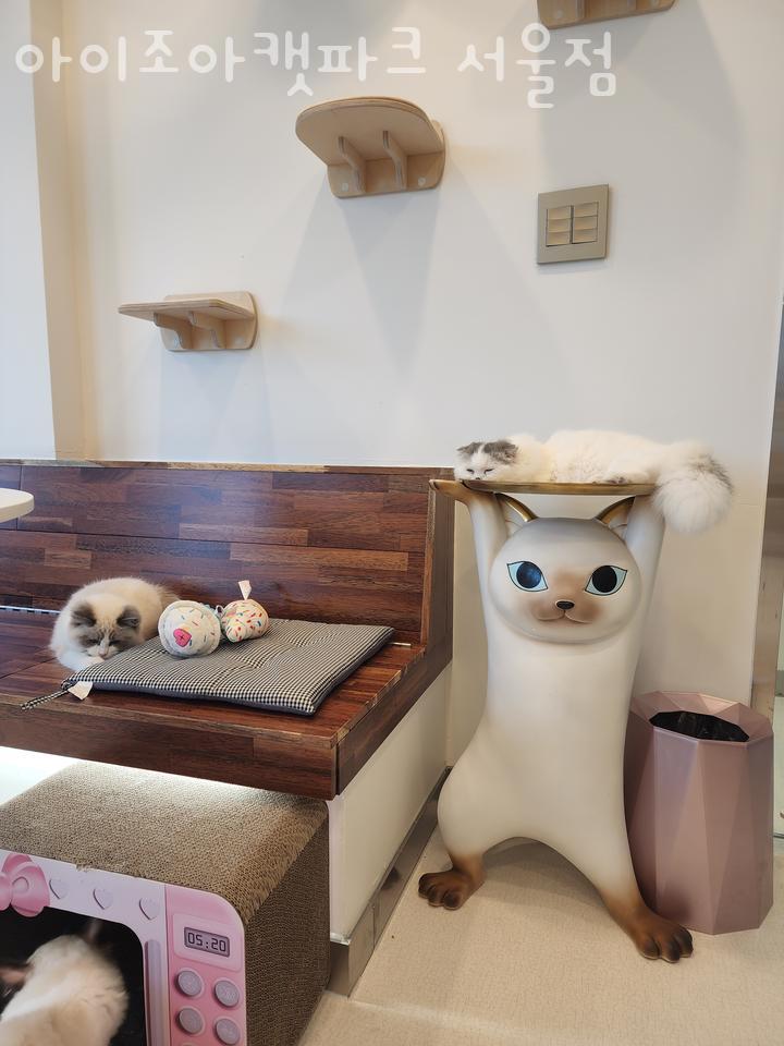 조아파크 이미지