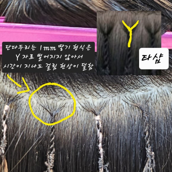 단다두리헤어 이미지
