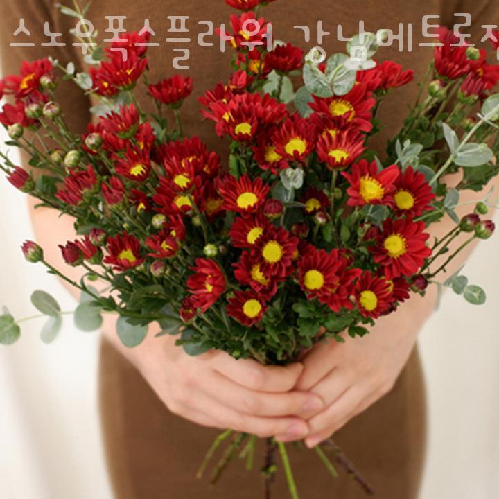스노우폭스플라워강남 이미지