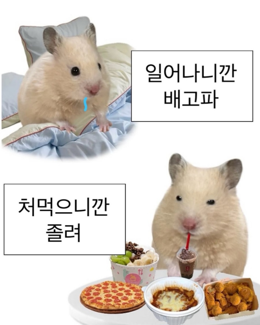 발렌 이미지