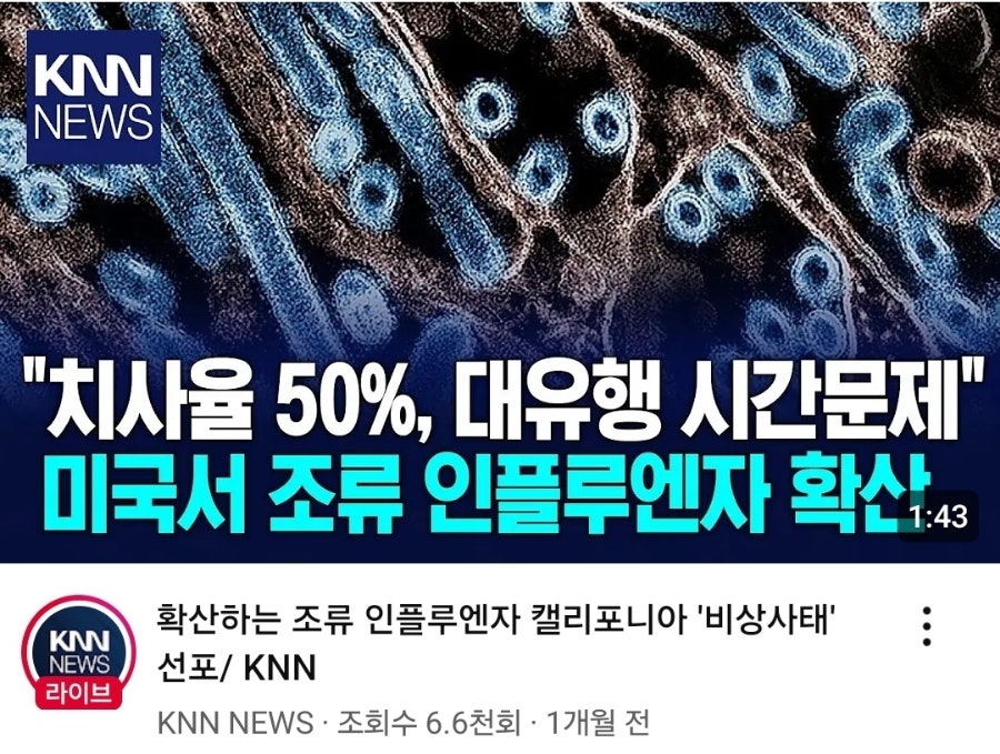뉴진스 빨강 이미지