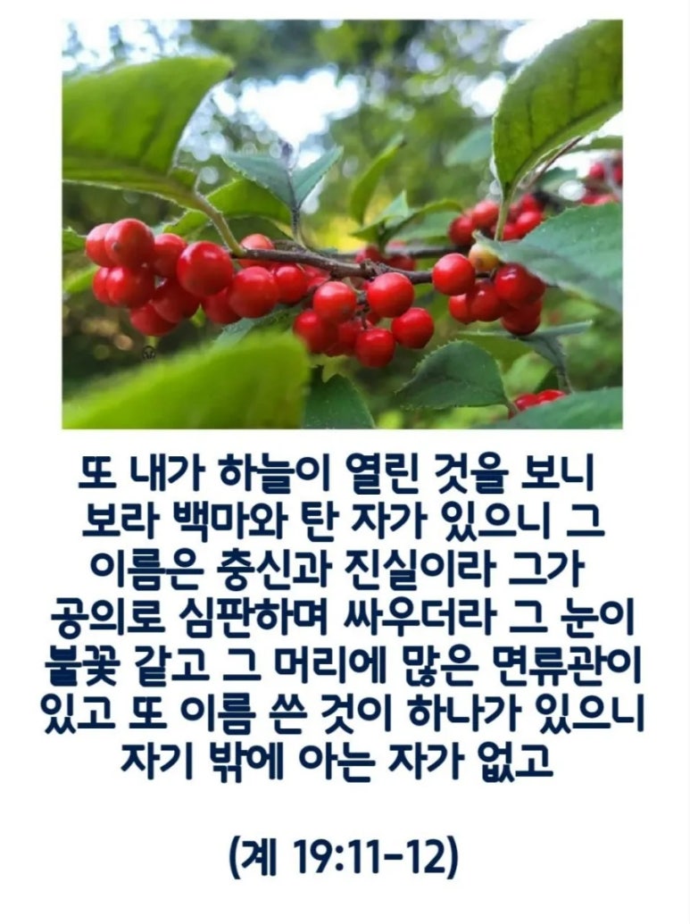 신신기획 이미지