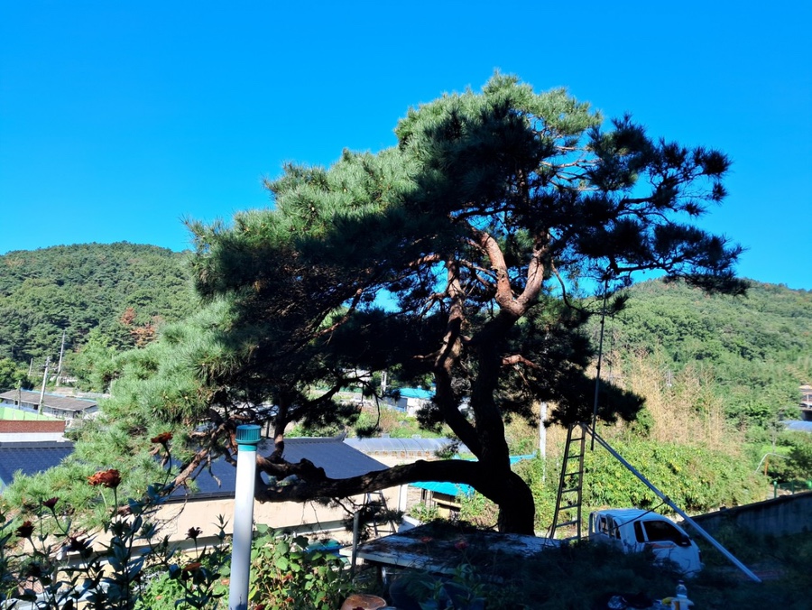 우방조경식물원 이미지