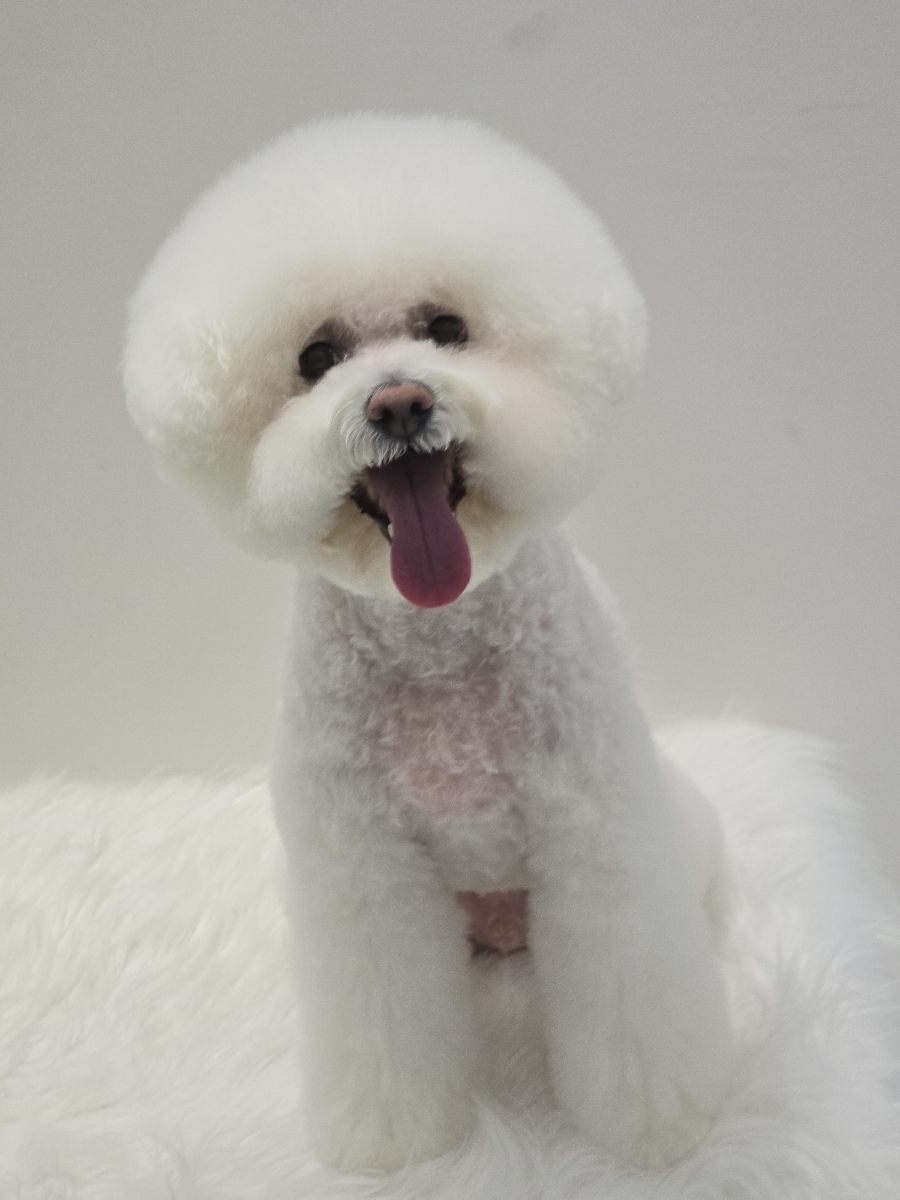 몽이미용실 이미지
