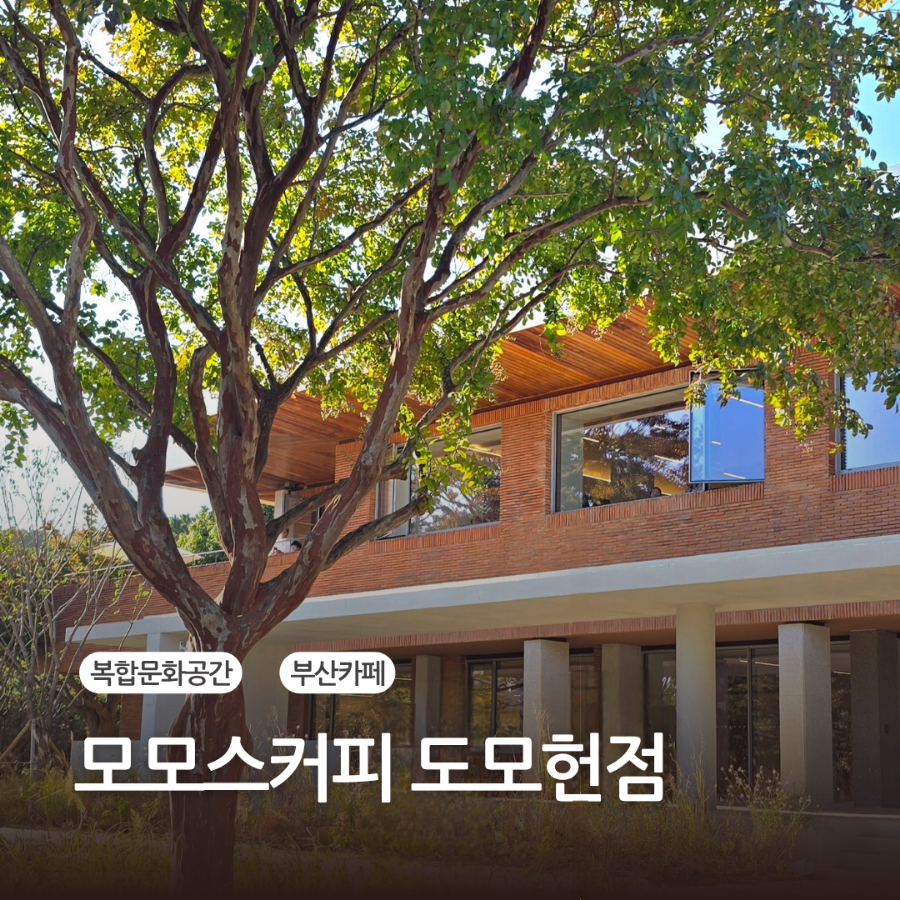 모모스커피도모헌점 이미지