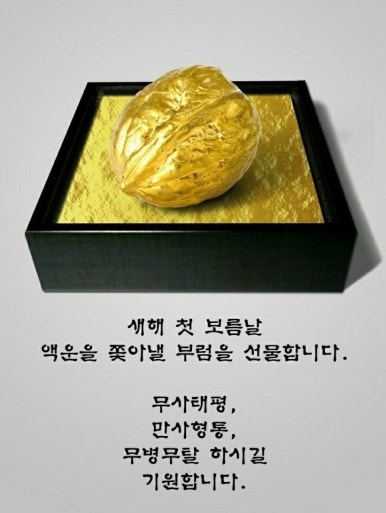 인스케어코어 이미지