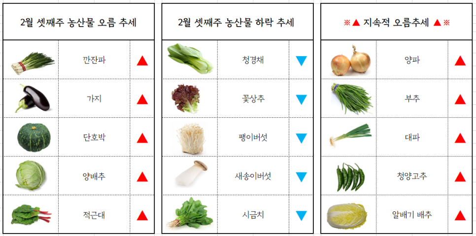 서면유통 이미지
