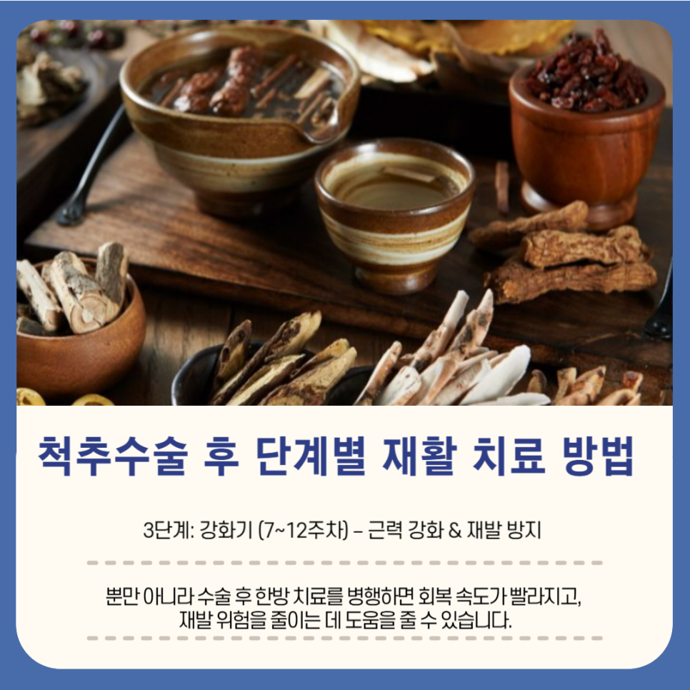 척추근육강화기 이미지