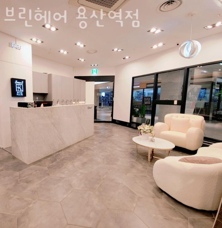 브린 이미지