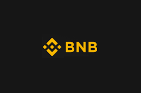 비엔비(BnB) 이미지