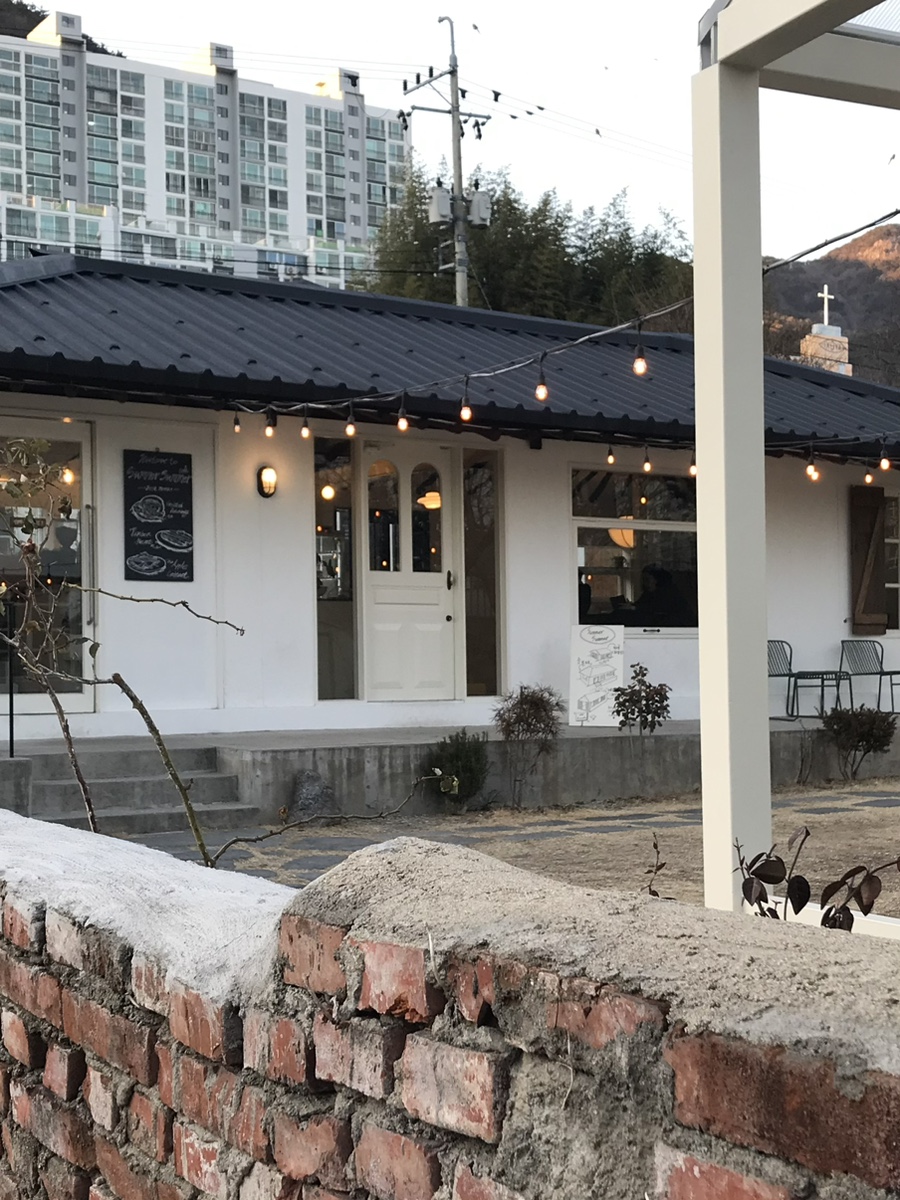 황산애견 이미지