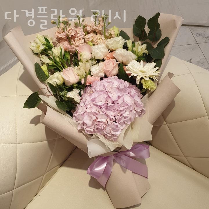다경 이미지
