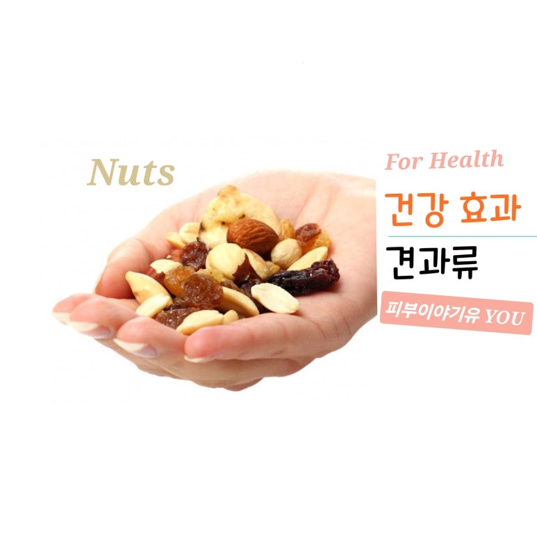 에이치디엘 이미지