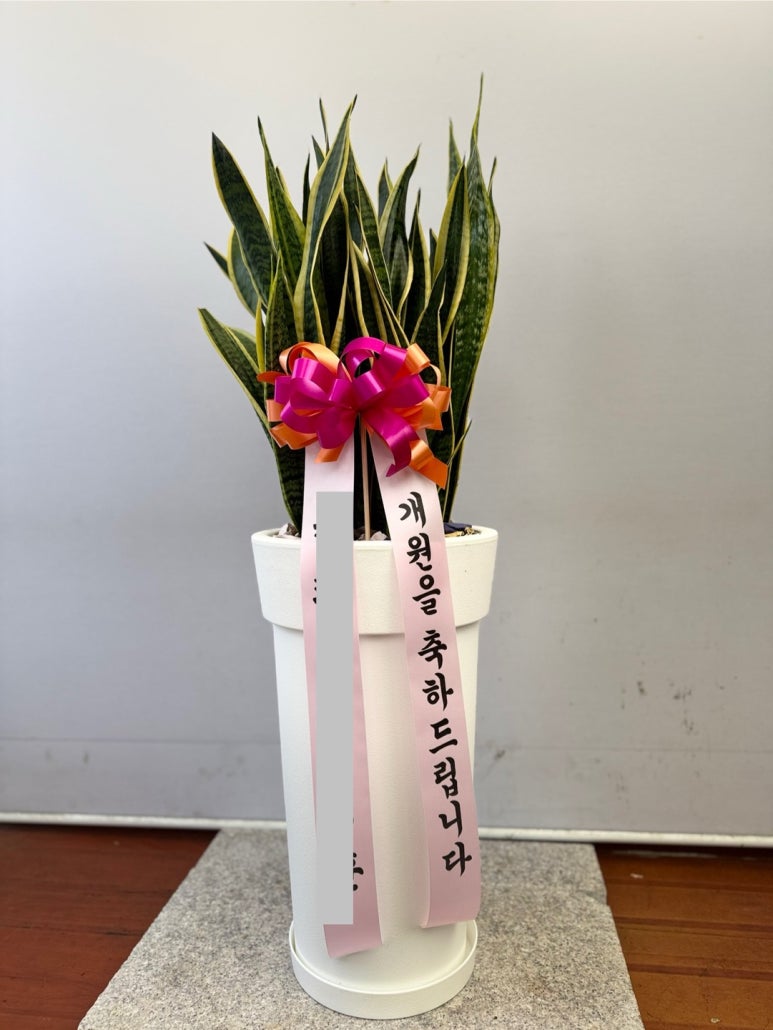 장암화원 이미지