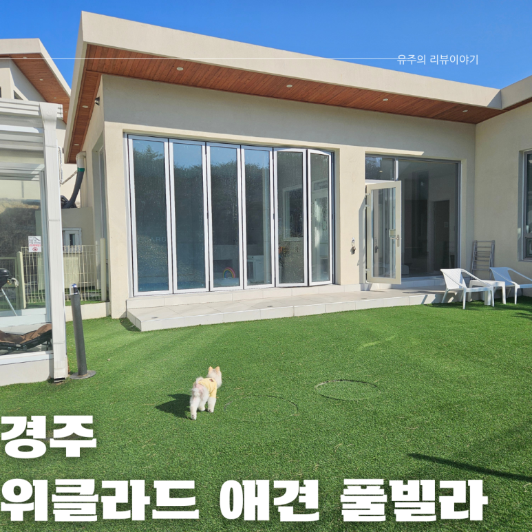 위클라드 애견 풀빌라 이미지