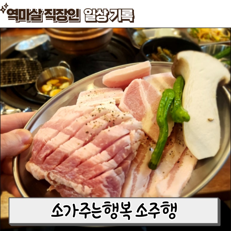 소주행 이미지
