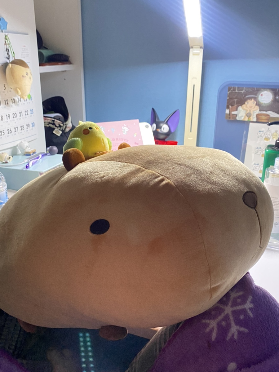 유진카피랜드 이미지