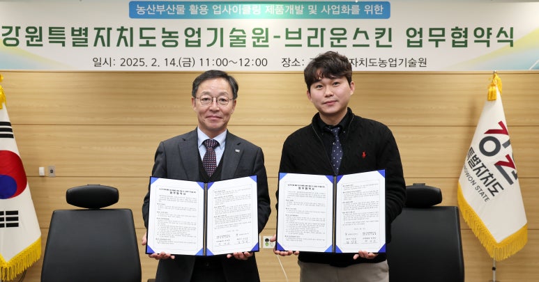 브라운스킨 이미지