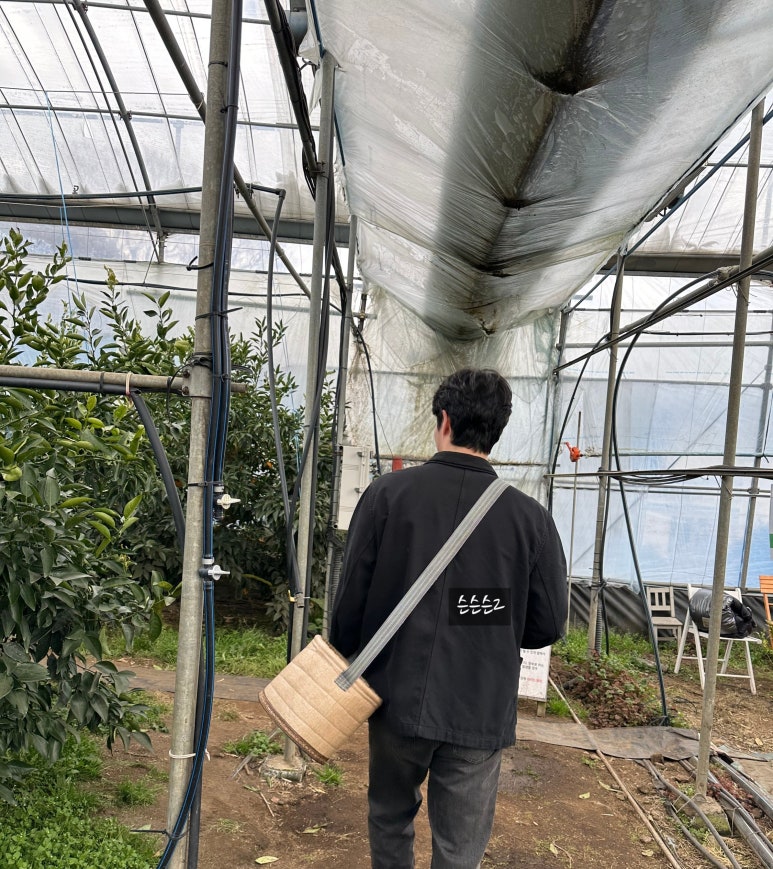 해저3만리 이미지