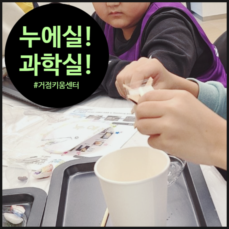 오해피데이지 이미지