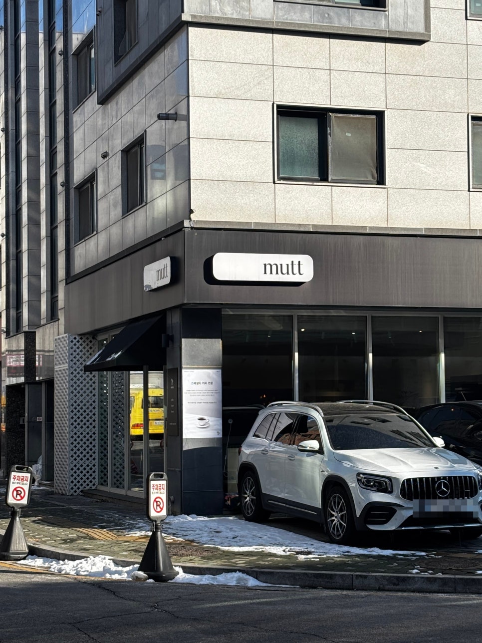 무티티(mutt) 이미지