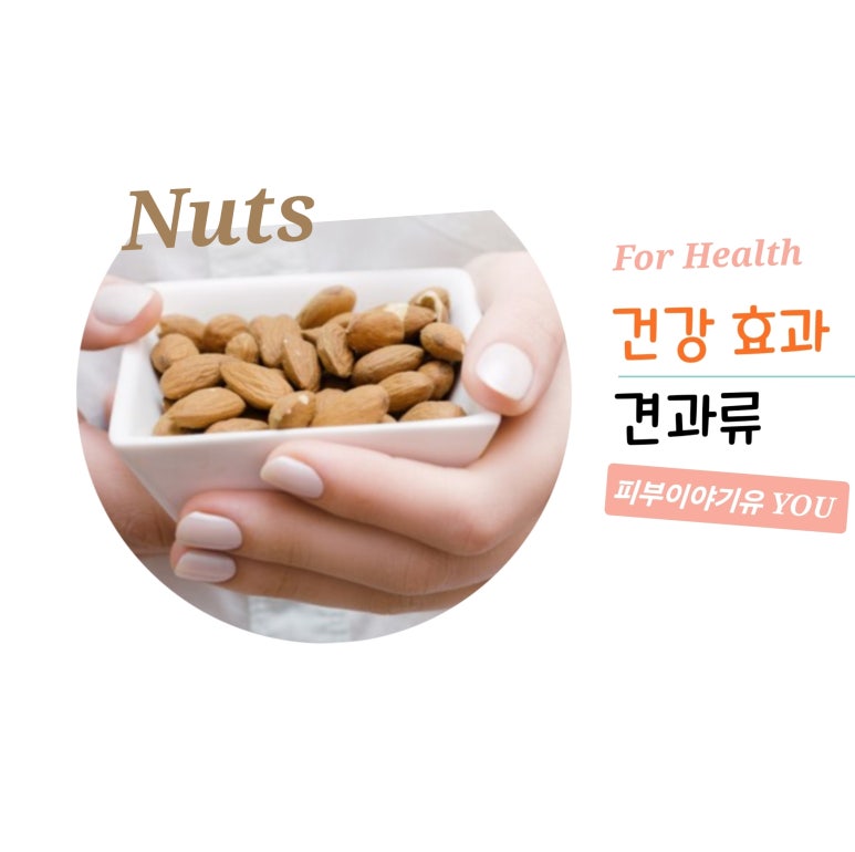 에이치디엘 이미지