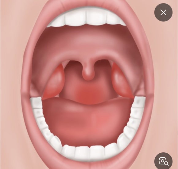 무지개연합의원 이미지