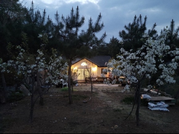 정일조경 이미지