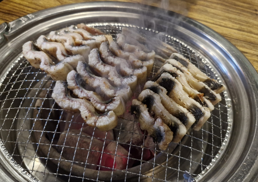 청춘민물장어 이미지