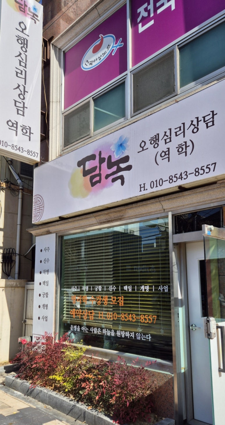 담녹 이미지