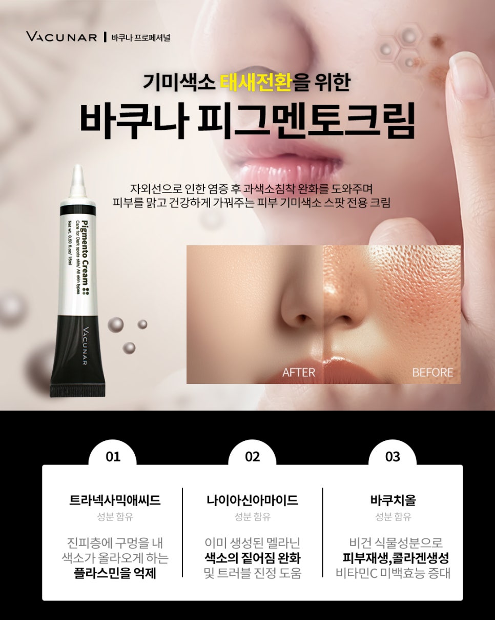 피그멘토 이미지