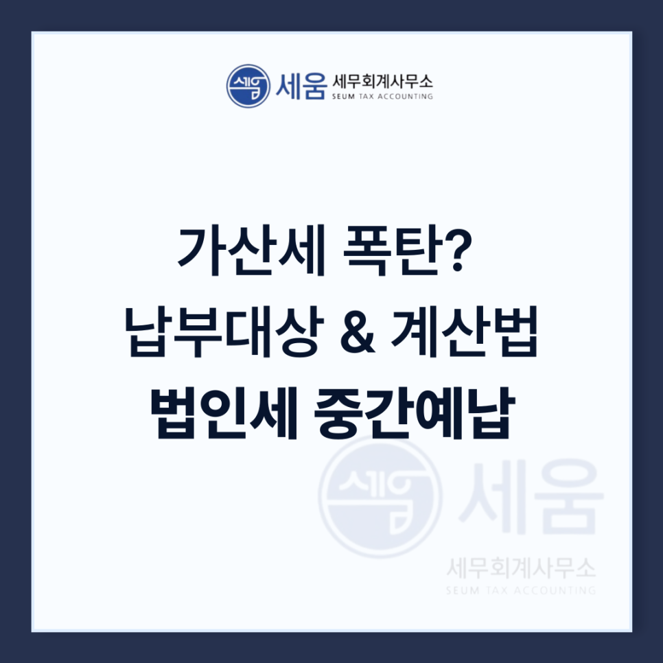 세움회계법인 이미지