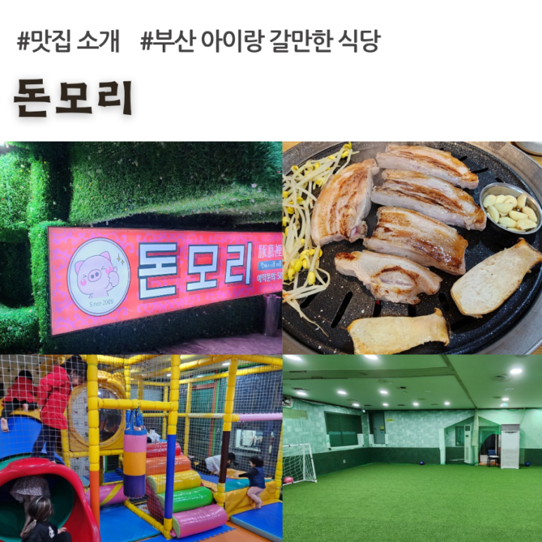 돈모리 이미지