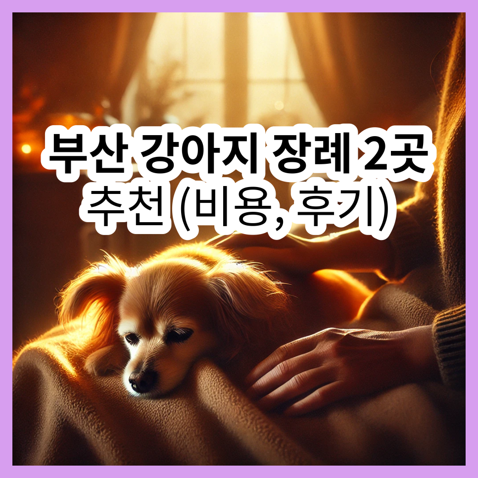 부산 강아지 장례식장 추천: 비용, 절차, 후기 비교