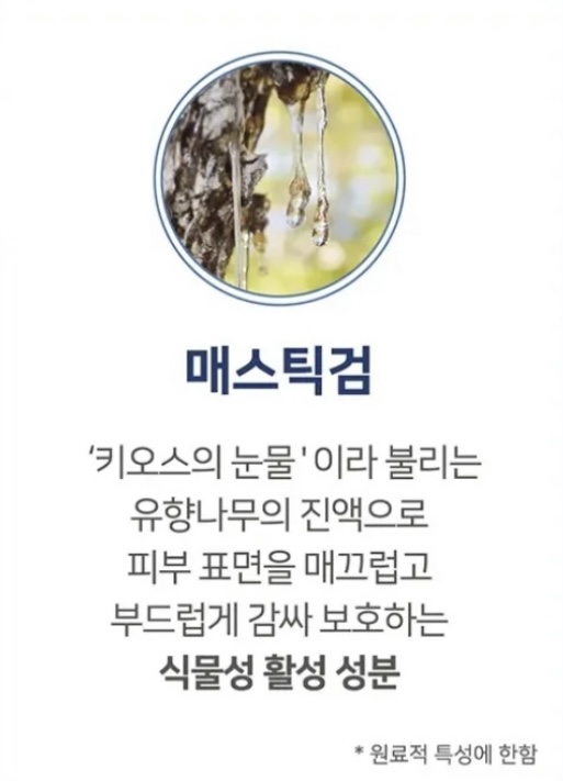 뉴세월따라 이미지