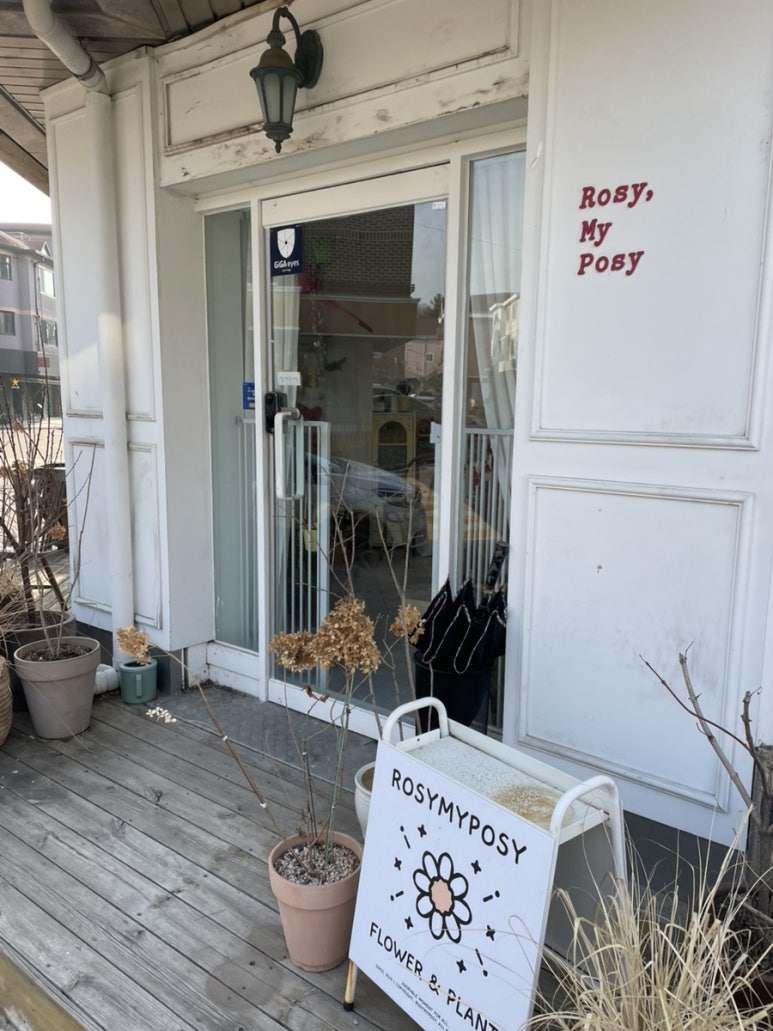 로지마이포지 이미지