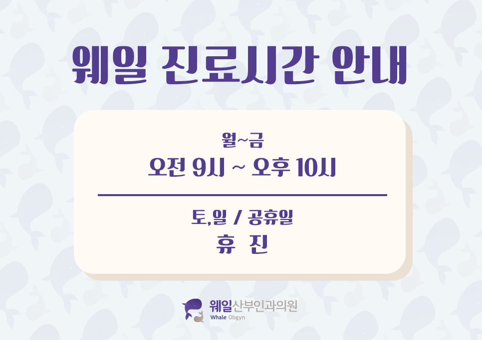 제이웨일 이미지