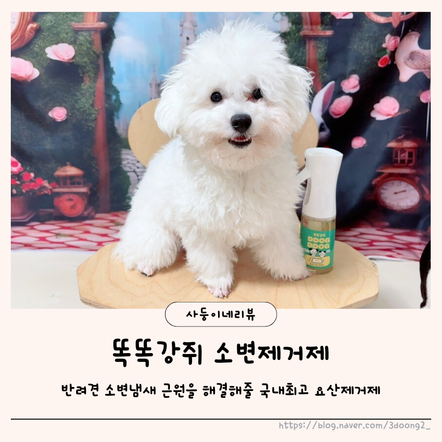 똑똑강쥐 이미지