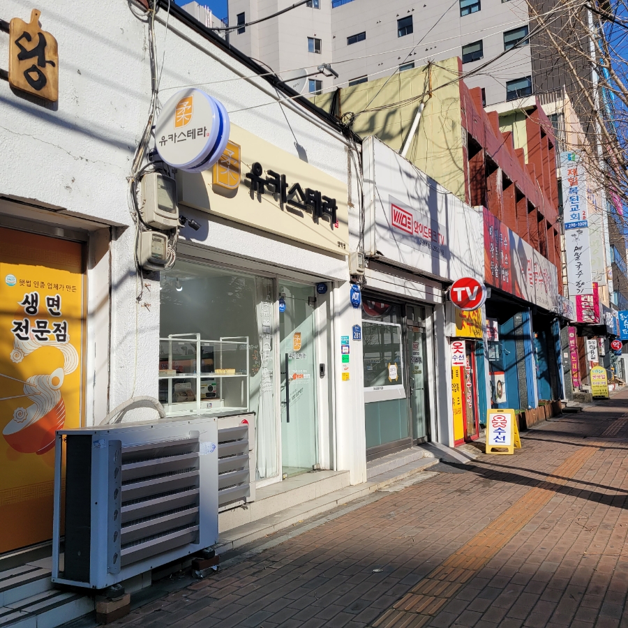 유카스테라 이미지