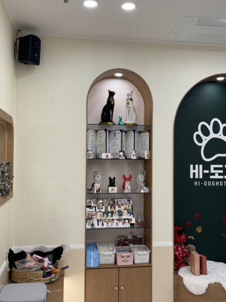 하이도그 이미지