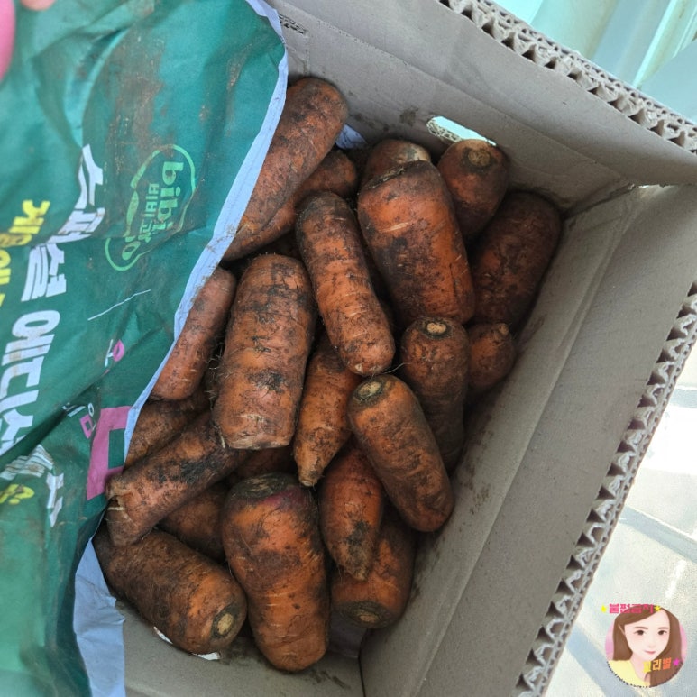 제주한라유통 이미지