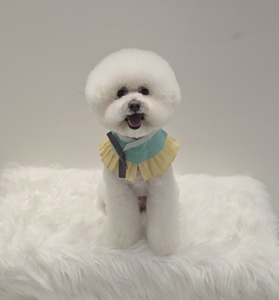 몽이미용실 이미지