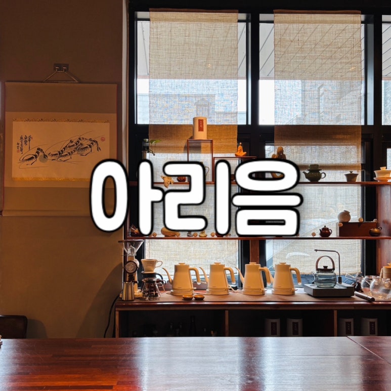아리음 이미지