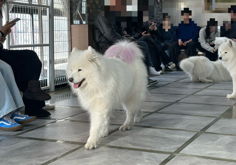 겨울이머무는집 이미지