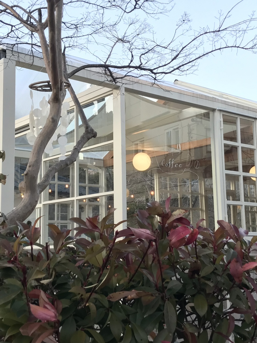 황산애견 이미지