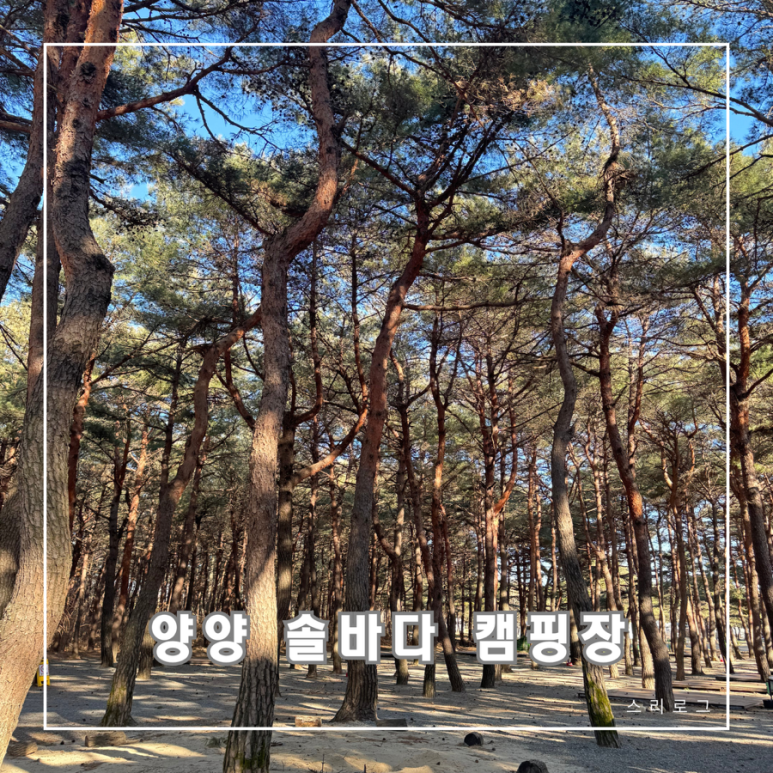 양양 솔바다 캠핑장 이미지
